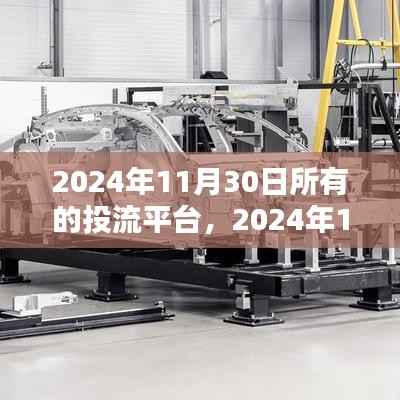 回顾与展望,2024年11月30日投流平台的繁荣及其影响深度解析