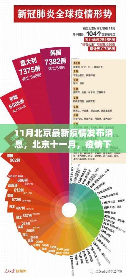 北京疫情下的自然探索之旅,寻找内心的宁静与微笑的力量