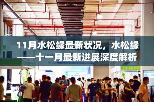 水松缘最新进展深度解析,11月最新状况报告