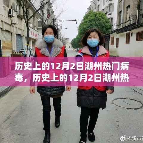 历史上的12月2日湖州热门病毒,历史上的12月2日湖州热门病毒,多维度视角下的探讨与观点阐述