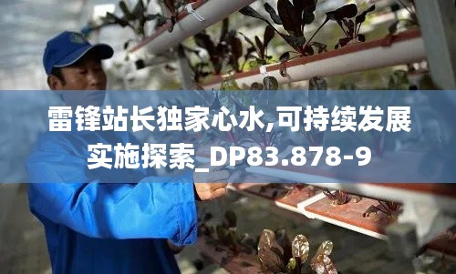 雷锋站长独家心水,可持续发展实施探索_DP83.878-9