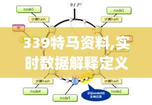 339特马资料,实时数据解释定义_游戏版67.625-7