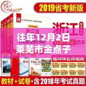 往年12月2日莱芜市金点子最新招聘,职场机遇与挑战深度解析