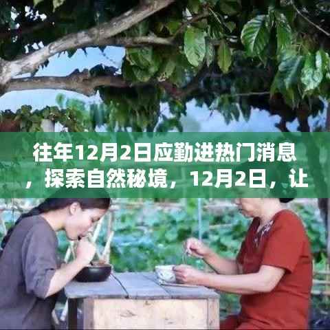 12月2日探索自然秘境,远离尘嚣,寻找内心的桃花源之旅