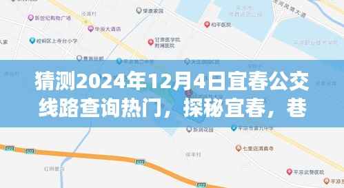 探秘宜春公交奇遇与小店惊喜,宜春公交线路查询热门预测(2024年12月4日)