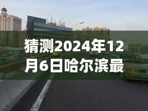 哈尔滨未来车祸实录,揭秘2024年12月6日意外现场
