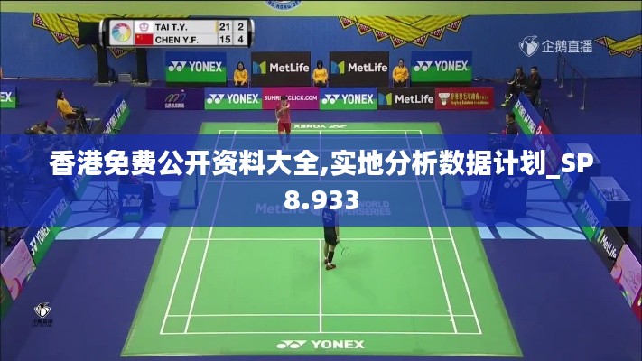香港免费公开资料大全,实地分析数据计划_SP8.933