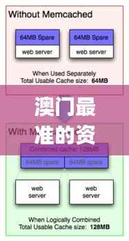 澳门最准的资料免费公开,专业说明解析_Executive4.724