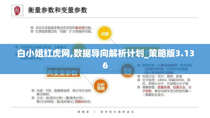 白小姐红虎网,数据导向解析计划_策略版3.136
