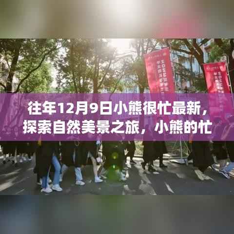 小熊的奇妙冒险,忙碌十二月的自然美景探索与内心平静之旅