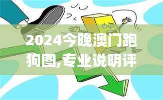 2024今晚澳门跑狗图,专业说明评估_DX版110.995