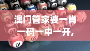 澳门管家婆一肖一码一中一开,决策资料解释定义_pro6.233