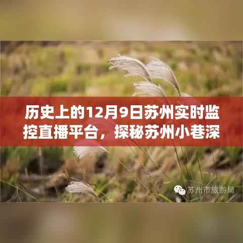 探秘苏州小巷深处的直播秘境,遇见时光直播屋——历史上的苏州实时监控直播平台回顾(12月9日)