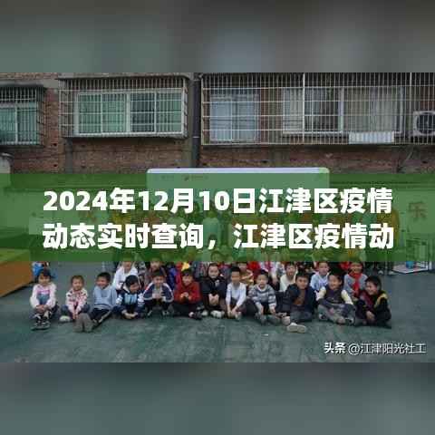 江津区疫情动态实时查询,聚焦2024年12月10日的疫情进展解读报告