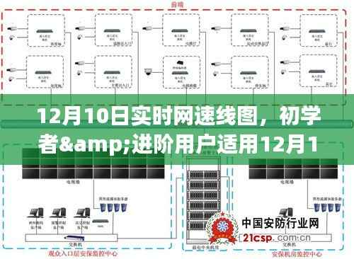 12月10日实时网速线图制作指南,适合初学者与进阶用户的详细步骤