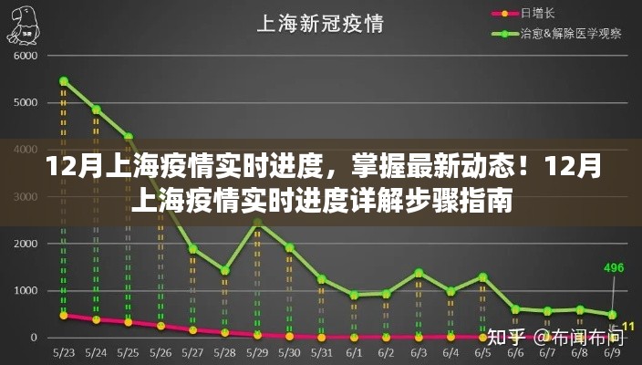 12月上海疫情实时进度详解及步骤指南