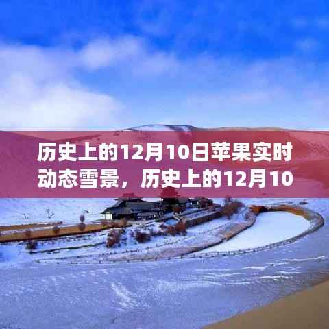 历史上的12月10日,苹果雪景下的励志与自信成就之光