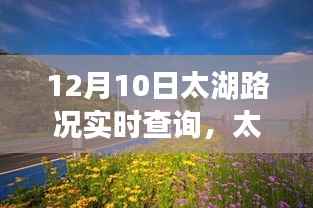 别出新意 第4页