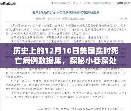 探秘美国实时死亡病例数据库,历史上的十二月十日时光之门