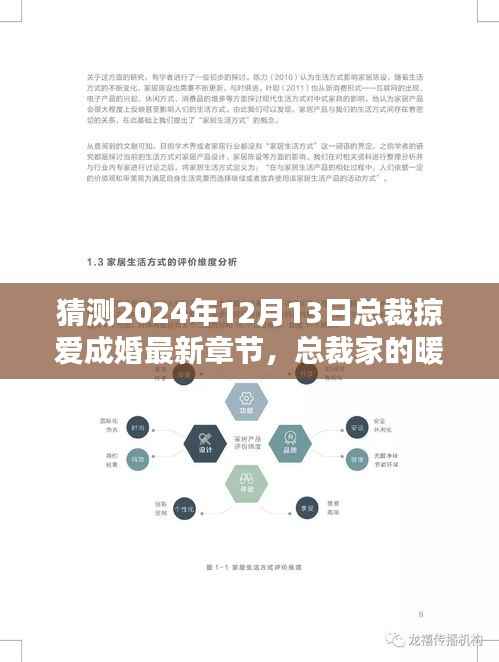 总裁掠爱成婚,暖心日常与爱的力量最新章节猜测 2024年总裁家的温馨时光