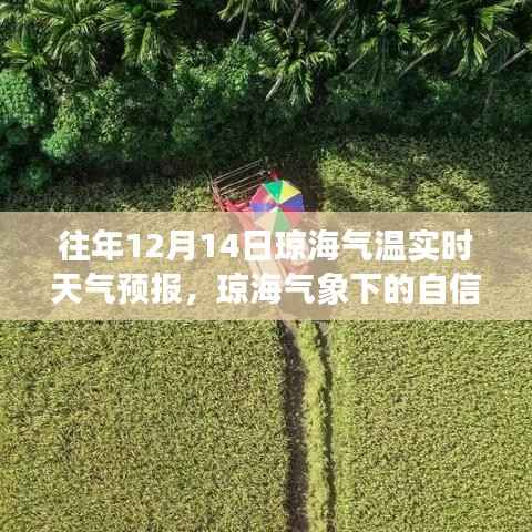 历年十二月十四日琼海气温实时天气预报,气象挑战与成就见证琼海的自信与成长之路