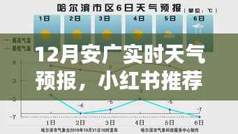 揭秘十二月安广天气预报,小红书推荐超详细指南,无忧出行必备!