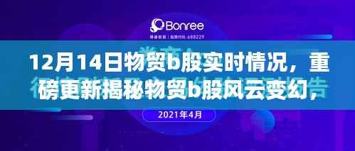 揭秘物贸B股风云变幻,深度解析实时动态