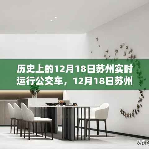苏州公交之旅,追寻自然美景与内心宁静的公交之旅(12月18日实时运行)