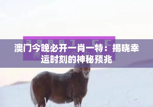 澳门今晚必开一肖一特:揭晓幸运时刻的神秘预兆