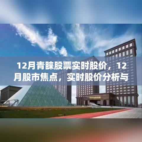 12月股市热点与实时股价分析,关注焦点股票,洞悉股市动态