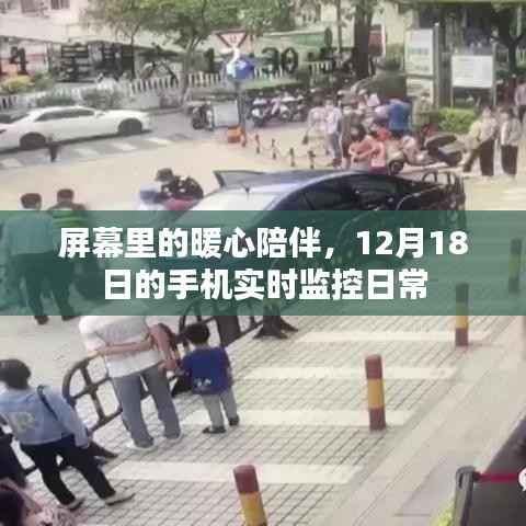 手机屏幕上的暖心陪伴,日常实时监控纪实 12月18日