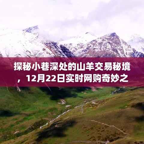 探秘小巷深处的山羊交易秘境,一场独特的实时网购奇妙之旅(12月22日)