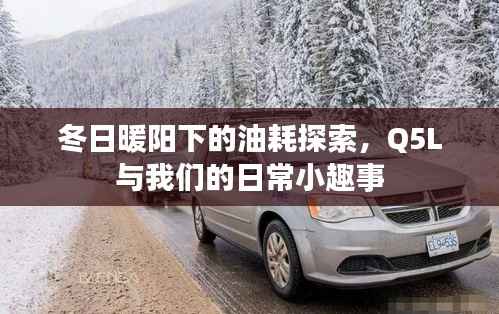 冬日暖阳下的油耗探索,Q5L日常趣事分享