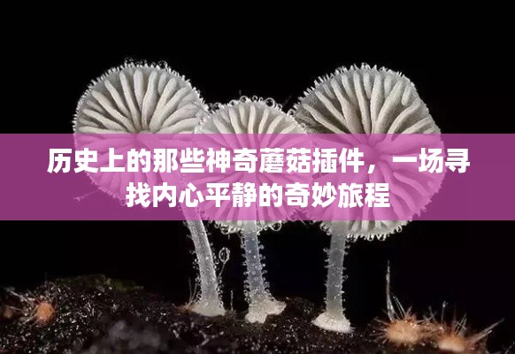 神奇蘑菇插件的历史之旅,寻找内心平静的奇妙探险