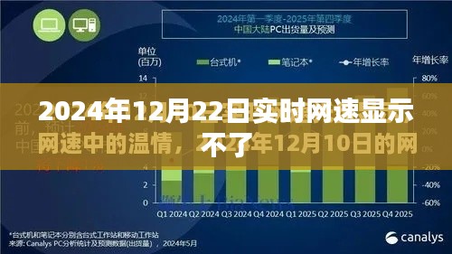 2024年12月22日网速无法实时显示问题解析,简洁明了,能够准确反映文章主题,希望符合您的要求。