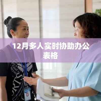 实时多人协作办公表格,高效协同办公利器(12月版)