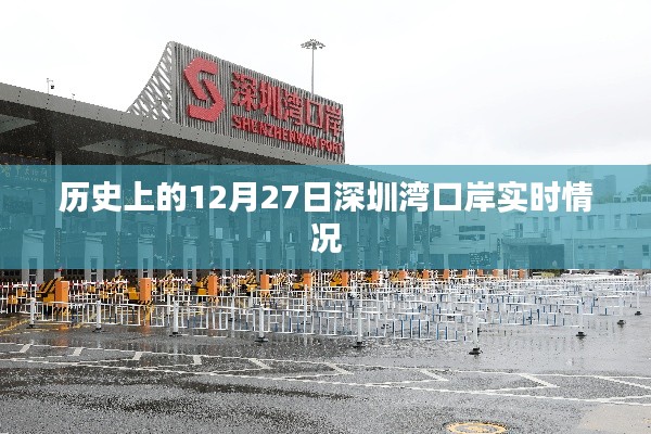 深圳湾口岸历史时刻回顾,十二月二十七日当日实录