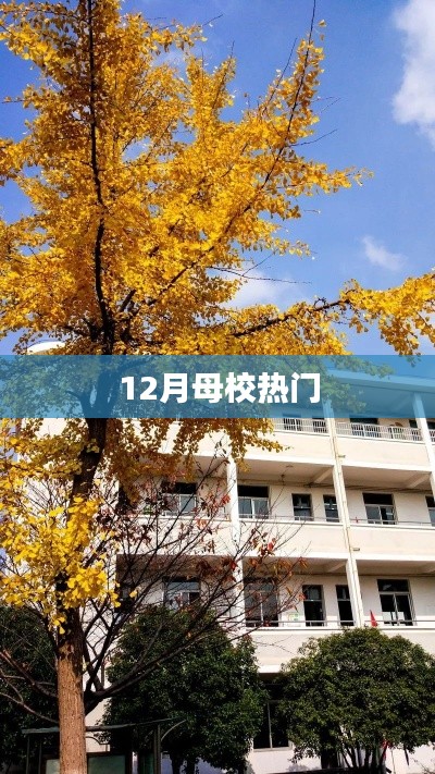 12月母校热点盘点