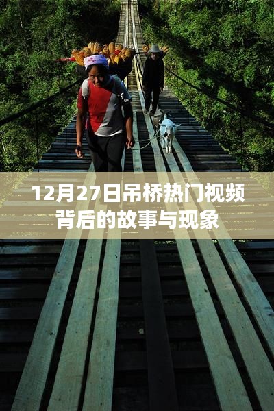 吊桥事件背后的故事与现象揭秘