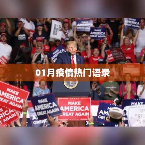 疫情热门语录精选,一月最新流行语