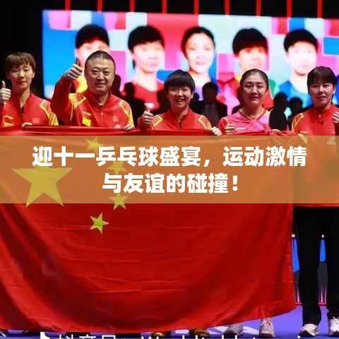 迎十一乒乓球盛宴,运动激情与友谊的碰撞!