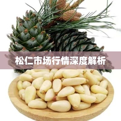 松仁市场行情深度解析