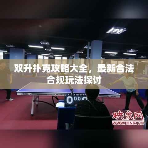 双升扑克攻略大全,最新合法合规玩法探讨