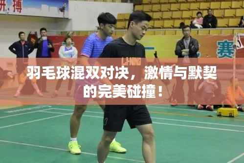 羽毛球混双对决,激情与默契的完美碰撞!