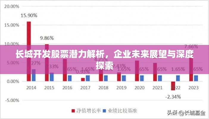 长城开发股票潜力解析,企业未来展望与深度探索