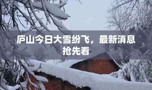 庐山今日大雪纷飞,最新消息抢先看