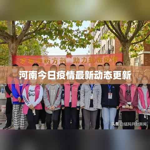 河南今日疫情最新动态更新