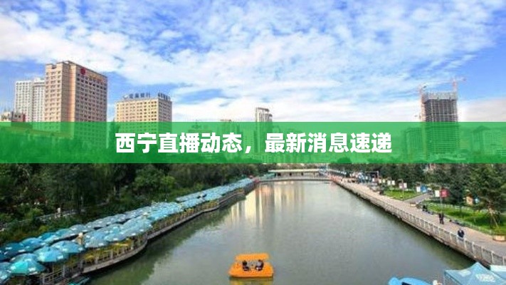 西宁直播动态,最新消息速递