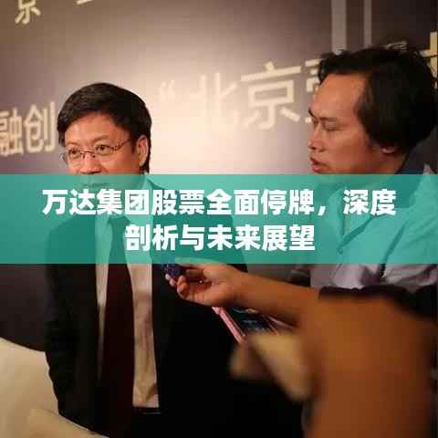 万达集团股票全面停牌,深度剖析与未来展望