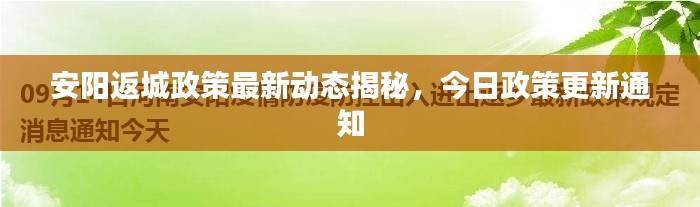 安阳返城政策最新动态揭秘,今日政策更新通知